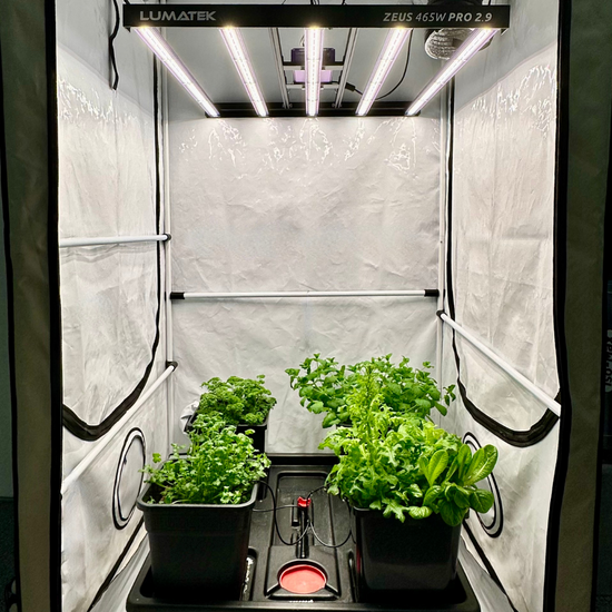 The A-Grade Journeyman - A-Grade Hydroponics