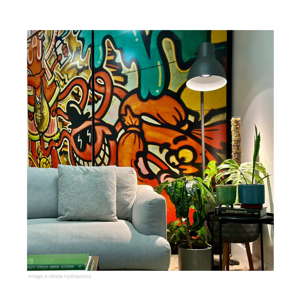 Treegers GB30W LED grow bulb lighting indoor houseplants in a living room floor lamp for supplemental plant growth