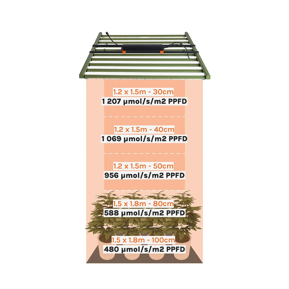 Treegers GL1000W+ LED grow light PPFD coverage chart showing optimal hanging heights and light intensity for indoor grow tents