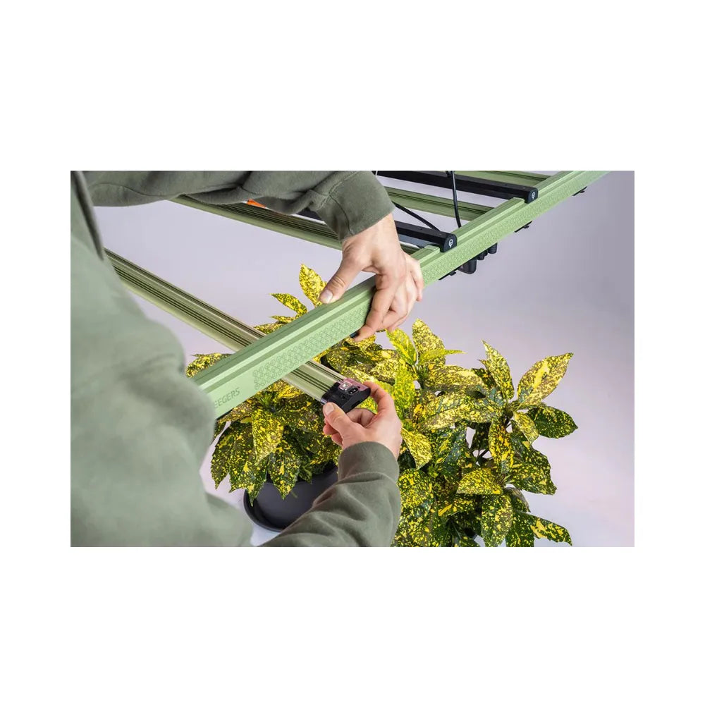 Installing Treegers GL650W+ LED grow light above indoor plants for even canopy coverage in hydroponic grow setup