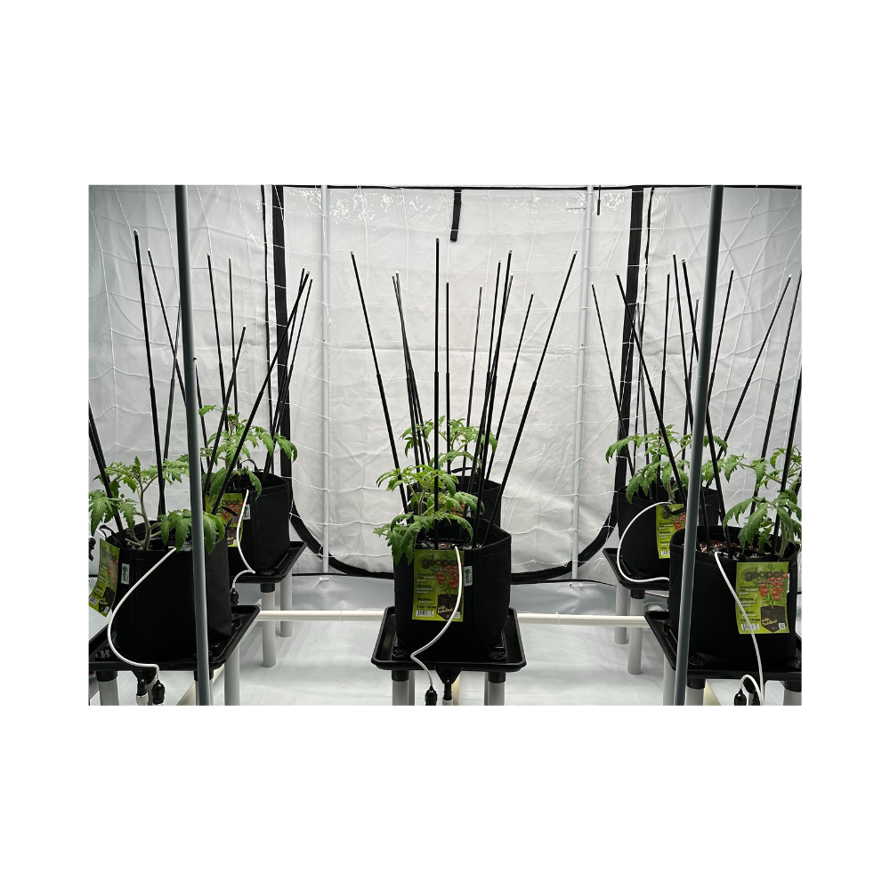 plant cage indoor Ultimate Plant Cage