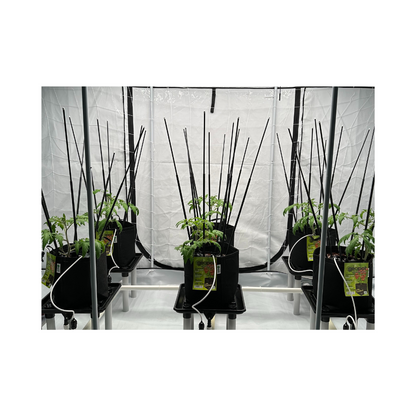 Ultimate Plant Cage - A-Grade Hydroponics
