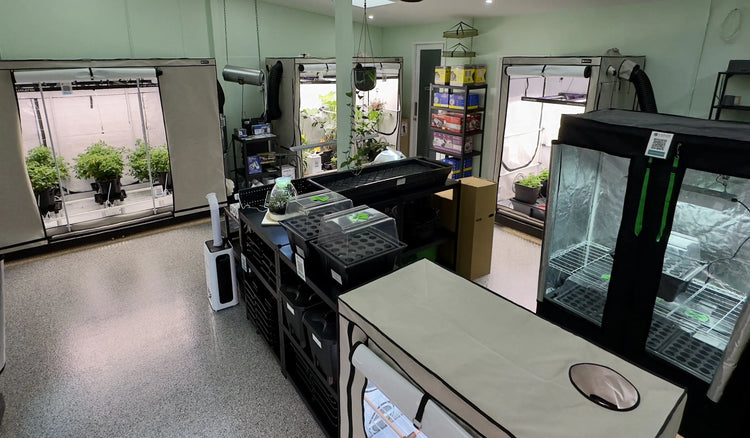 A-Grade Hydroponics store interior showing grow tents, propagation trays, and hydroponic equipment on display
