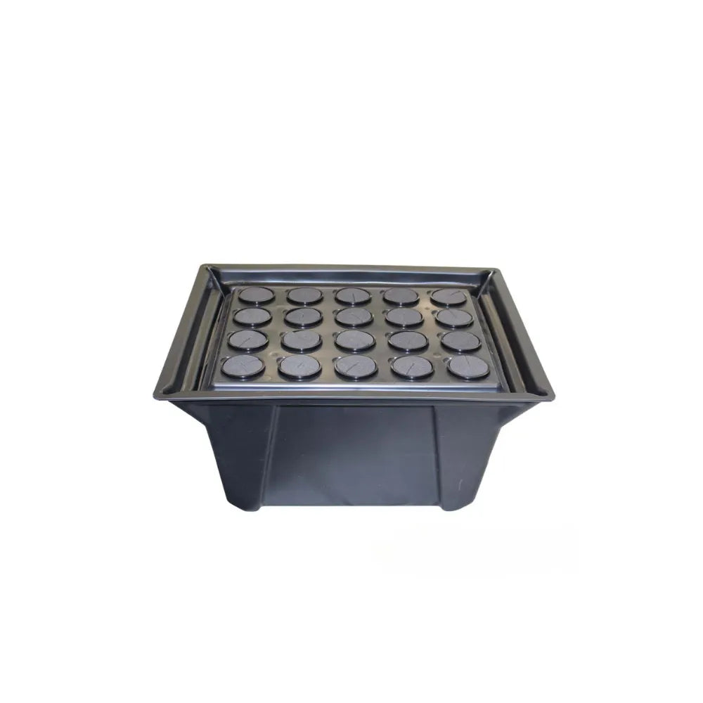 X-Stream aeroponic propagation tray with 20 site insert for plant cloning and seed starting