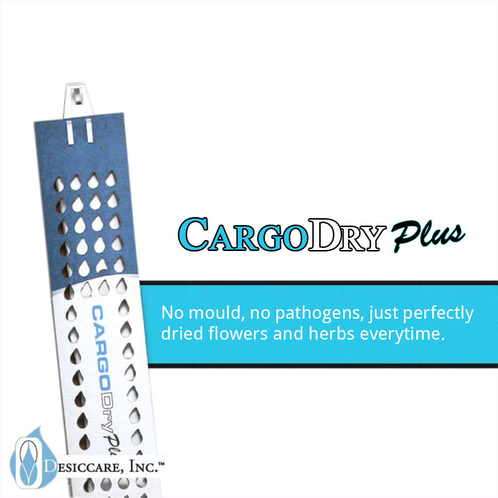 Cargo Dry Plus au