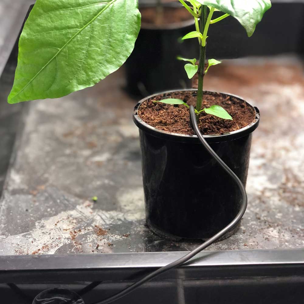 CULTIV8 Heat Mat Thermostat - A-Grade Hydroponics