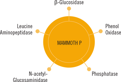 Mammoth P - A-Grade Hydroponics